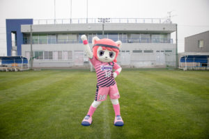 ノルちゃん　マスコット　画像